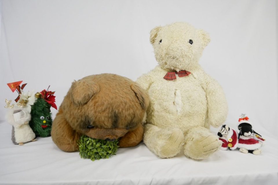 どんくん・くまたんくん | ぬいぐるみ専門病院 杜の都なつみクリニック